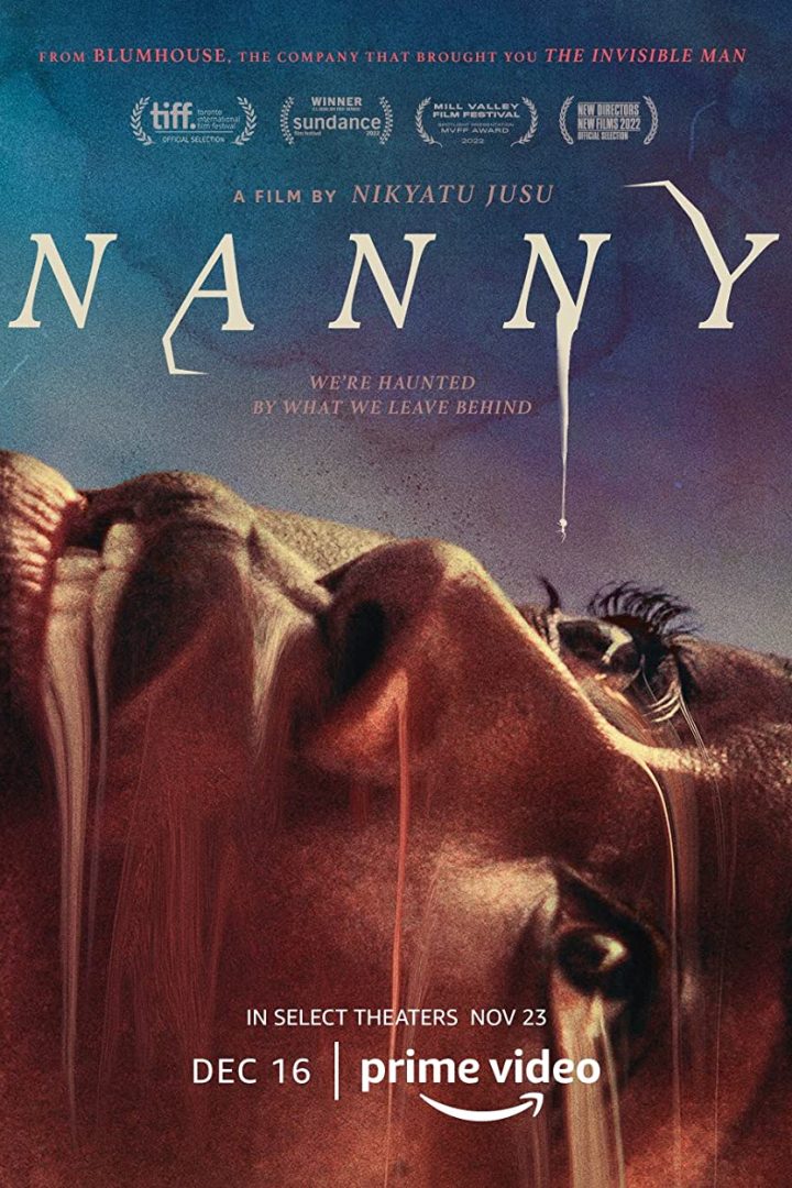 مشاهدة فيلم Nanny 2022 اون لاين