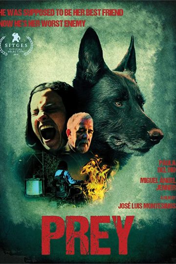Cordes ( 2019 )