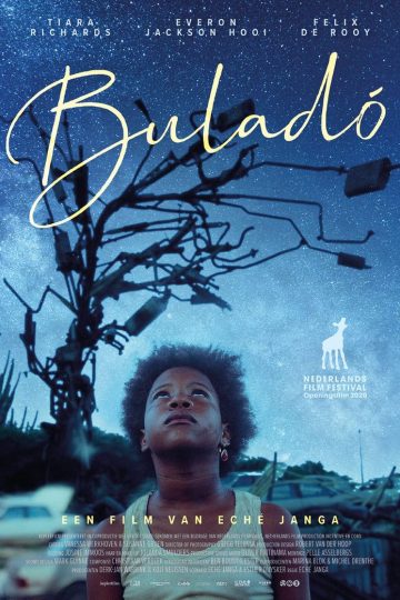 Buladó ( 2020 )