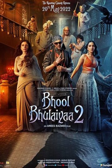 Bhool Bhulaiyaa 2 ( 2022 )