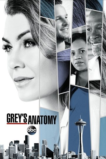 Grey’s Anatomy الموسم الرابع عشر الحلقة 1