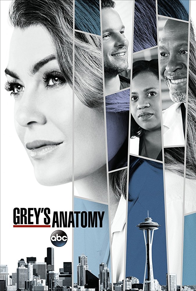 مشاهدة مسلسل Grey's Anatomy الموسم الرابع عشر الحلقة 22
