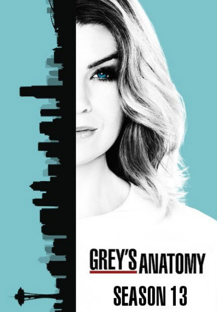 مشاهدة مسلسل Grey's Anatomy الموسم الثالث عشر الحلقة 4