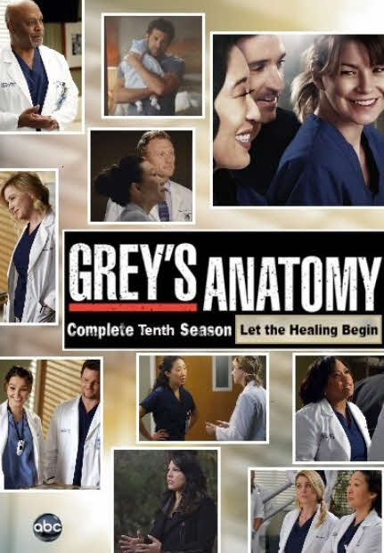 مشاهدة مسلسل Grey's Anatomy الموسم العاشر الحلقة 24