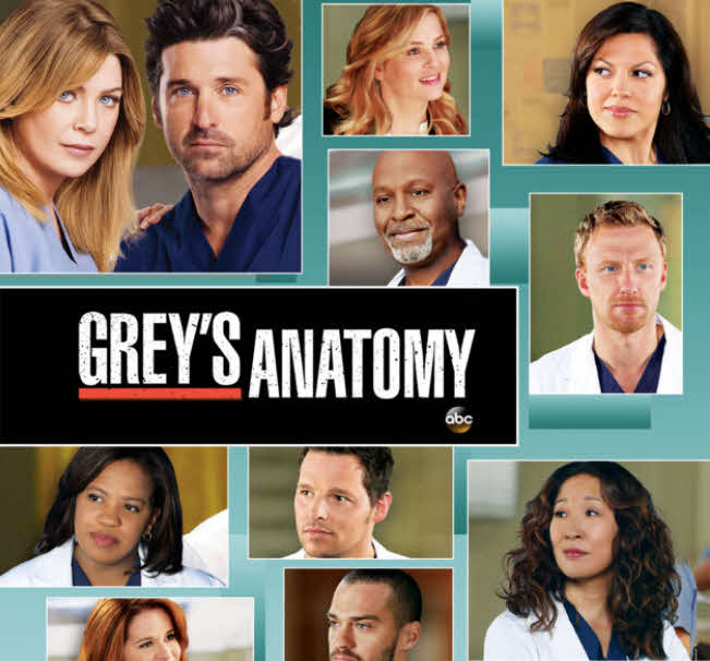 مشاهدة مسلسل Grey's Anatomy الموسم التاسع الحلقة 24