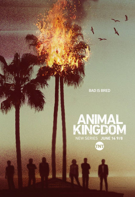 مشاهدة مسلسل Animal Kingdom الموسم الاول الحلقة 10