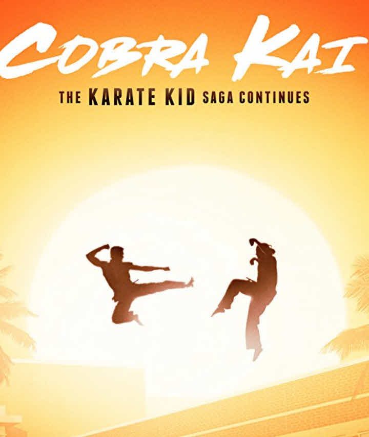 مشاهدة مسلسل Cobra Kai الموسم الاول الحلقة 1