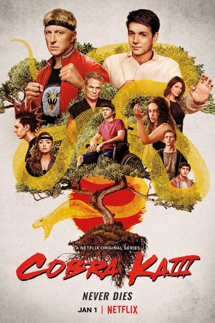 مشاهدة مسلسل Cobra Kai الموسم الثالث الحلقة 2