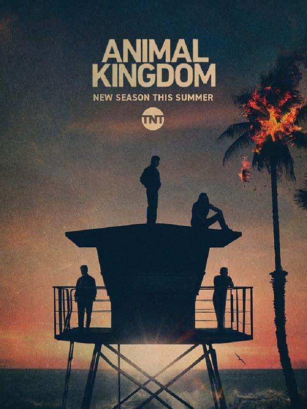 مشاهدة مسلسل Animal Kingdom الموسم الخامس الحلقة 13