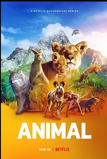 Animal الموسم الاول الحلقة 2