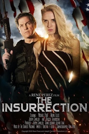 The Insurrection ( 2020 )