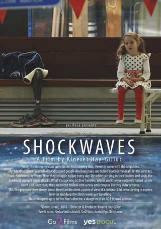 Shock Wave ( 2017 )