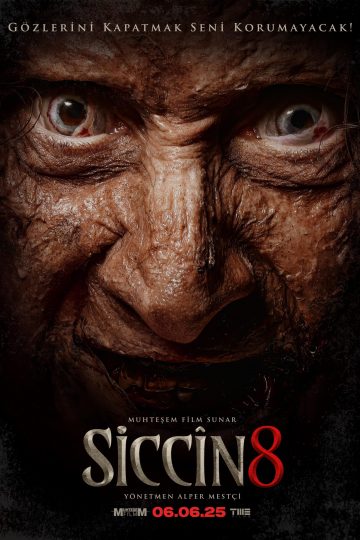 Siccin 8 ( 2025 )
