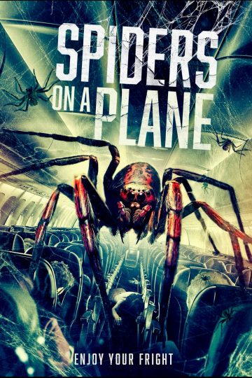 Spiders on a Plane ( 2024 )