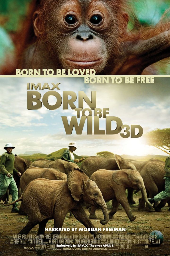 مشاهدة فيلم Born to Be Wild 2011 اون لاين