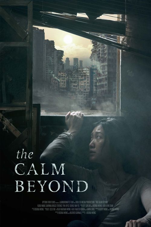 مشاهدة فيلم The Calm Beyond 2020 اون لاين