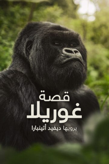 قصة غوريلا: يرويها ديفيد أتينبارا ( 2026 )