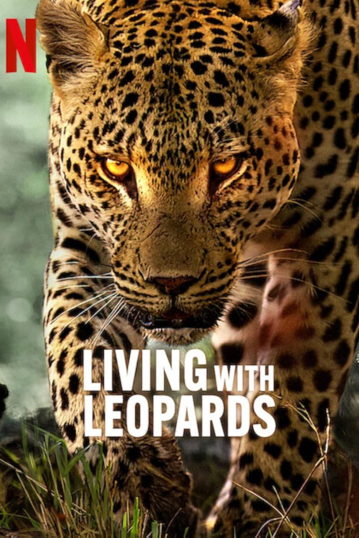 مشاهدة فيلم Living with Leopards 2024 اون لاين